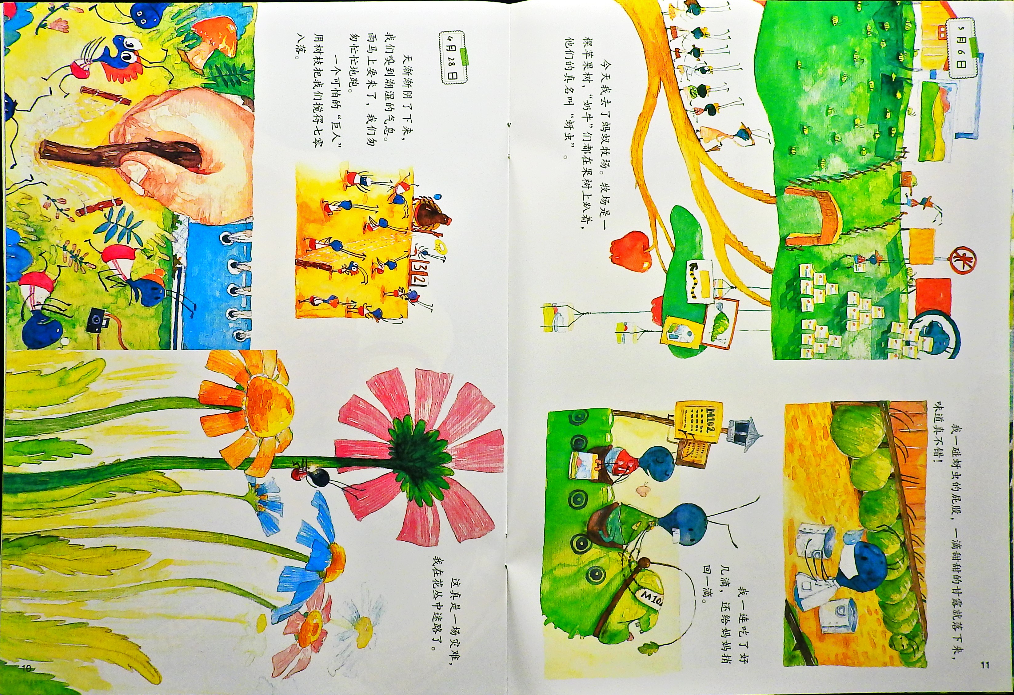 蚂蚁的日记 (07),绘本,绘本故事,绘本阅读,故事书,童书,图画书,课外阅读